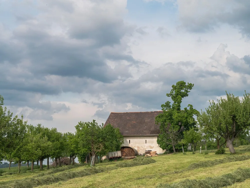 A quaint rural farmhouse surrounded by green fields and trees under a cloudy sky