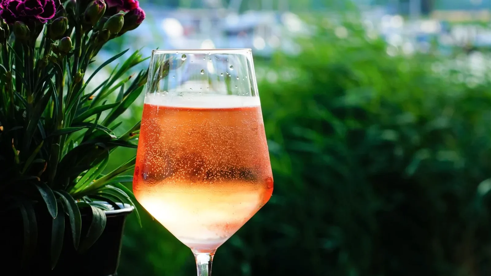 A refreshing glass of sparkling rosé wine set against a lush garden backdrop, perfect for outdoor relaxation