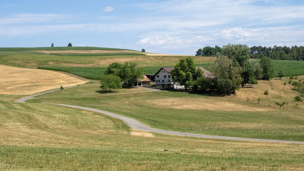 A rural countryside with fields and trees during summer