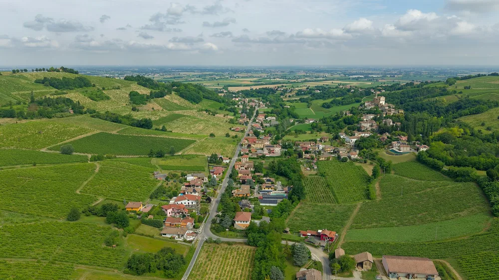 A rural village amidst green vineyards