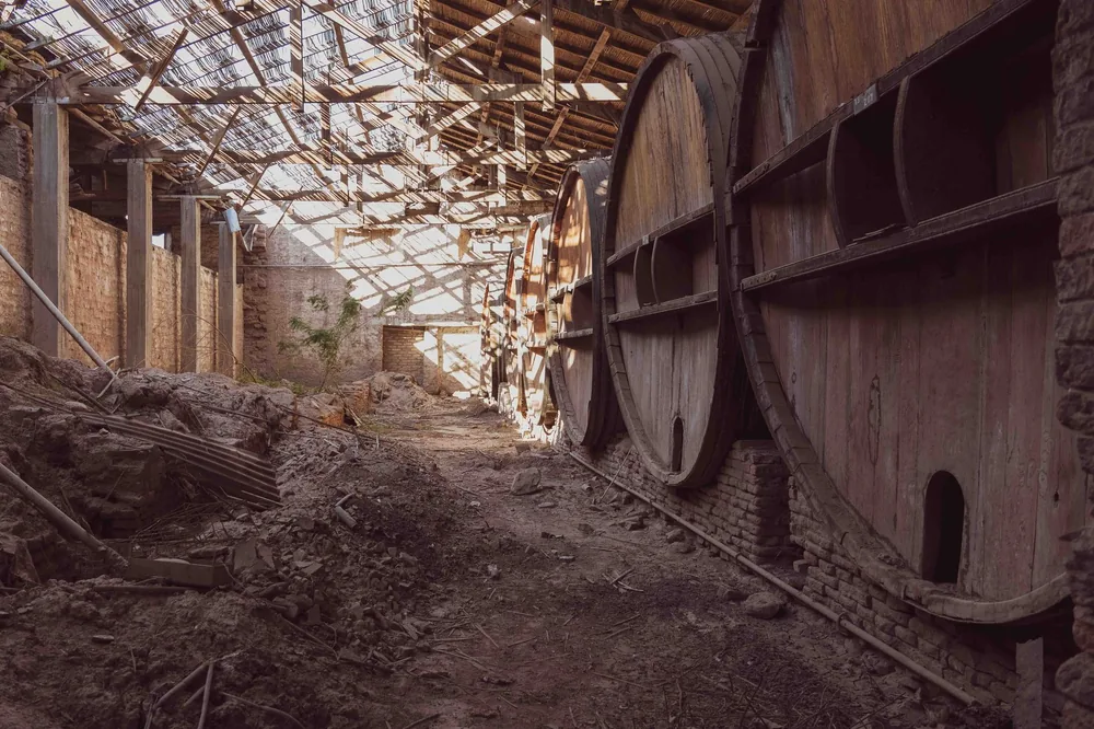 A rustic abandoned wine cellar with large wooden barrels, evoking a sense of history and decay