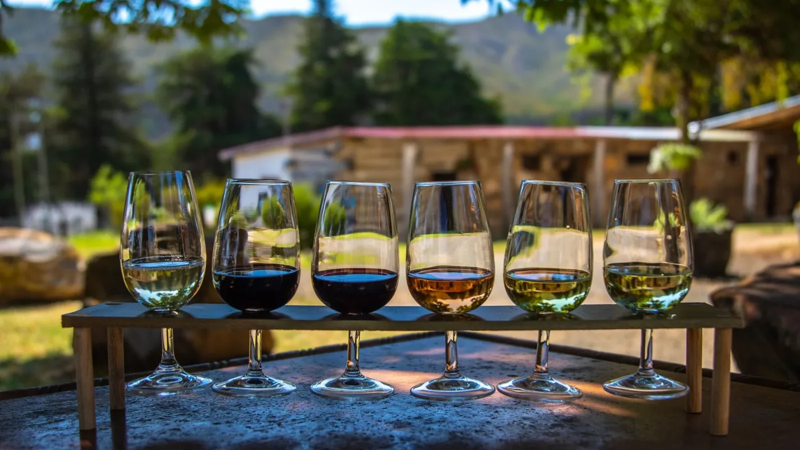 A selection of wine glasses displayed outdoors with a scenic vineyard background