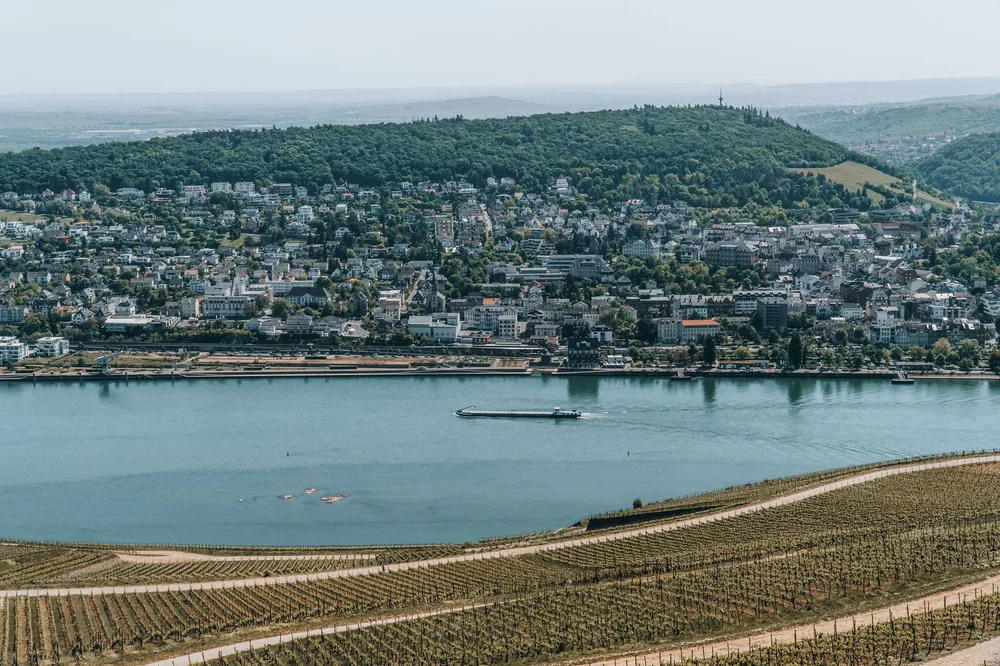A town by the Rhine River with lush vineyards and hillside in the background