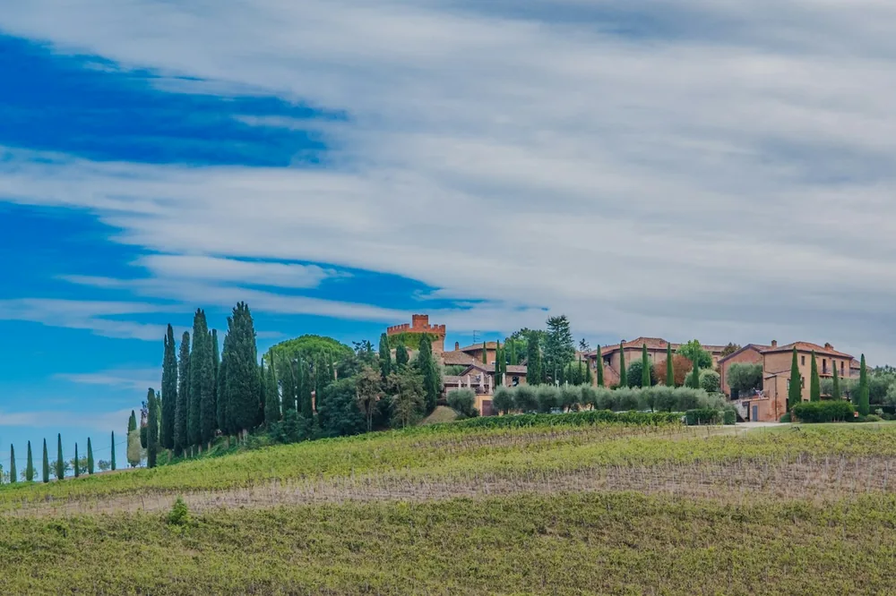 A typical Tuscan landscape of cypress trees and muted red buildings on the top of rolling hills, with rows of vines in the foreground, against a cloudy blue sky