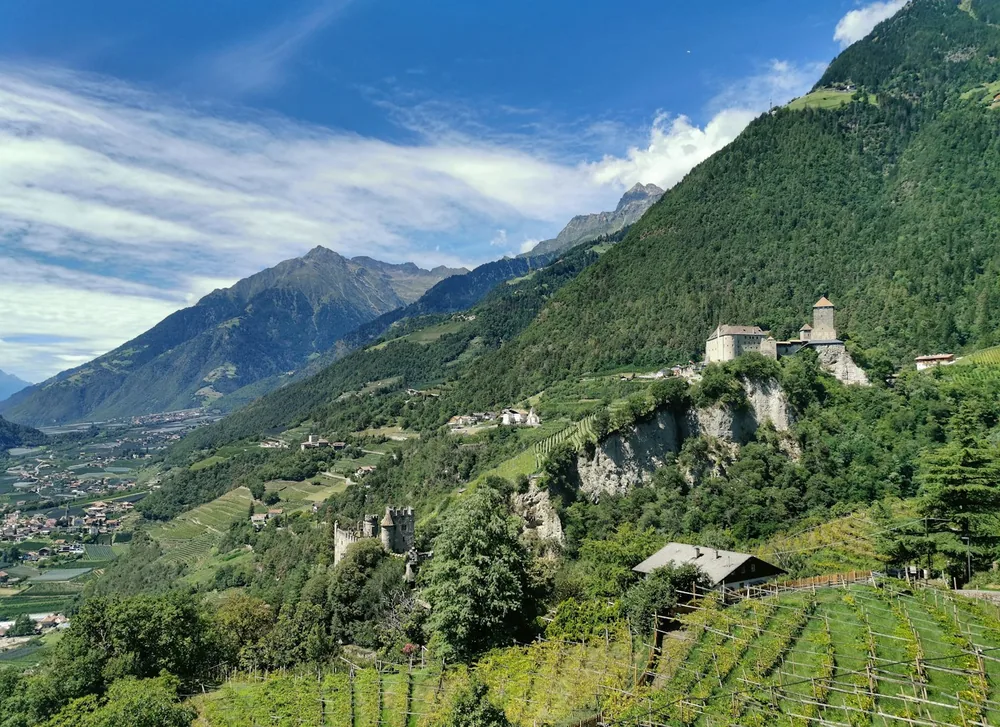 A valley with mountains in the background