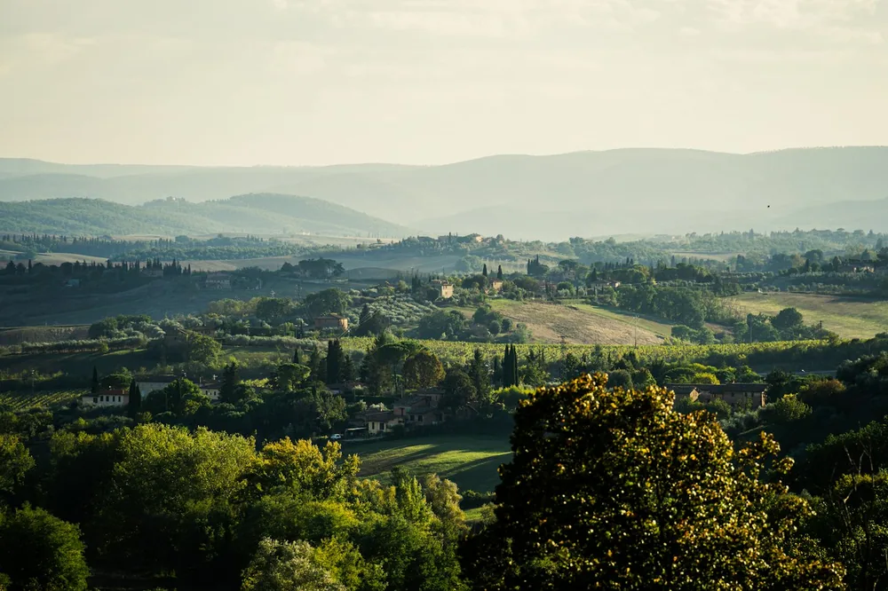 A valley with trees and hills in the background