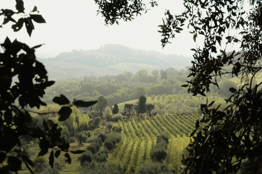 A valley with trees and hills in the background