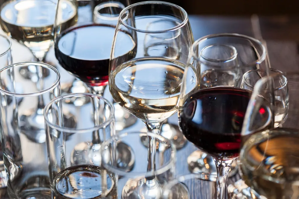 A variety of red and white wines elegantly displayed in glasses, capturing their rich colors and textures