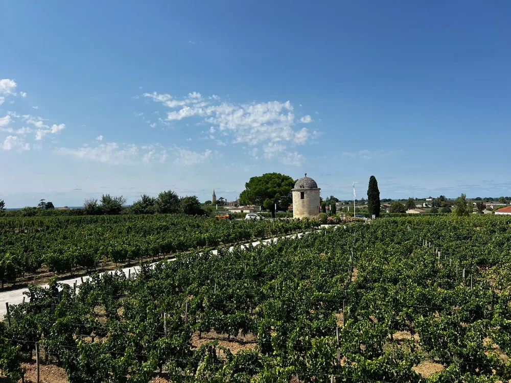 A vast vineyard with a stone tower under a clear summer sky, showcasing rural beauty
