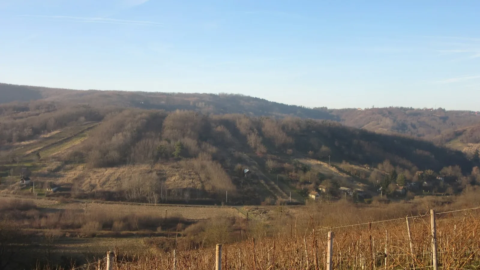 A vineyard in the middle of a mountain range