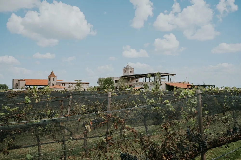 A vineyard with historic buildings under a clear blue sky