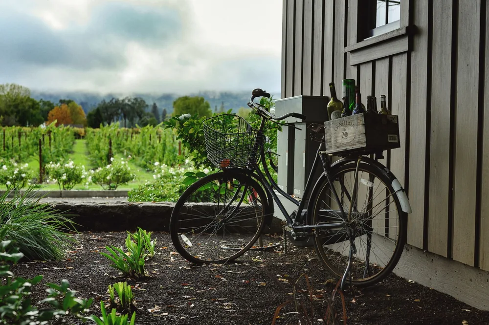 A vintage bicycle parked by a vineyard with lush greenery and a rustic vibe