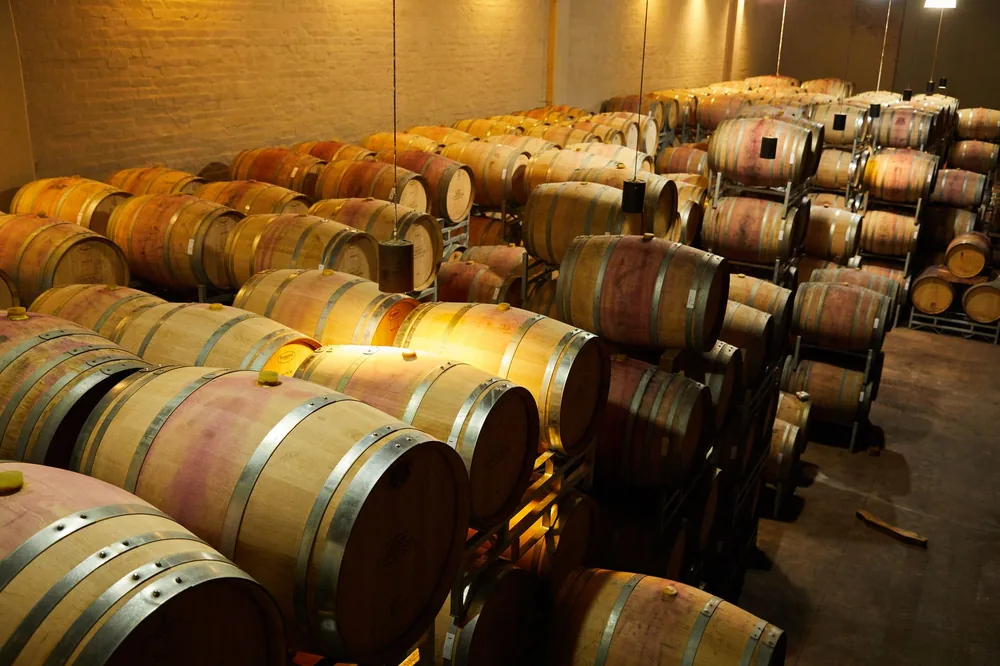 A warm-toned view of wine barrels stored in a winery cellar, ready for fermentation
