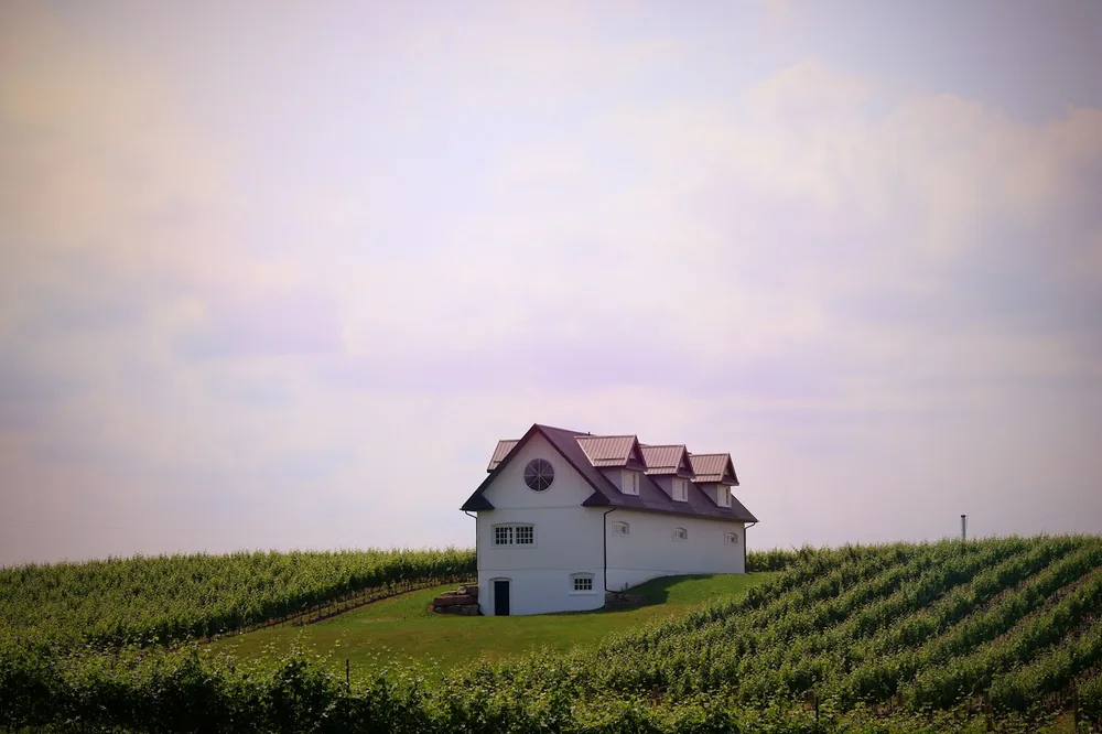A white house sits on a hill amidst vineyards