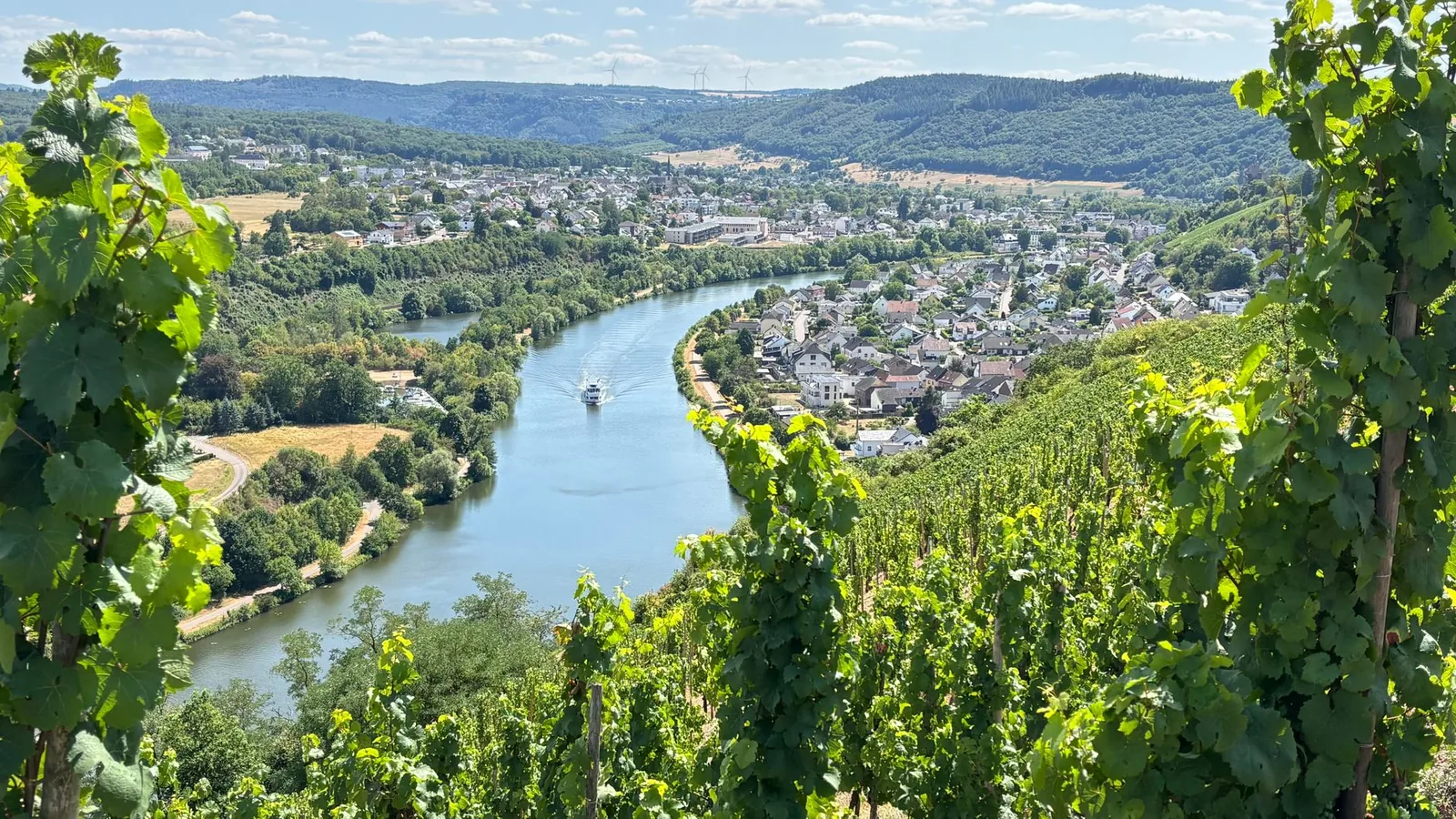 A winding river through lush vineyards and a quaint town on a sunny summer day