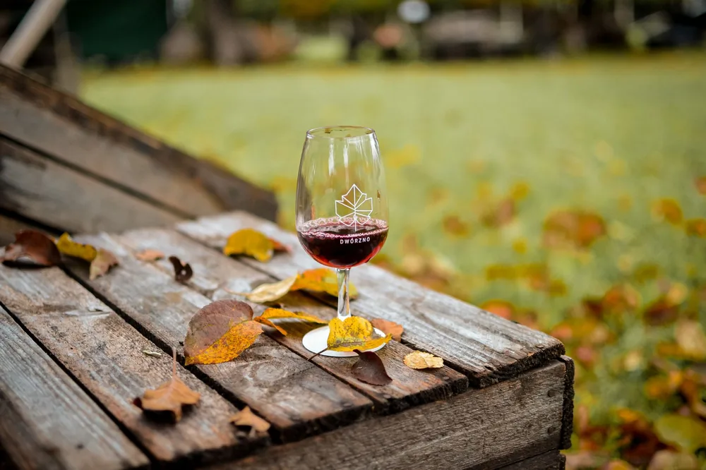 A wine glass with red wine on a rustic table surrounded by autumn leaves outdoors