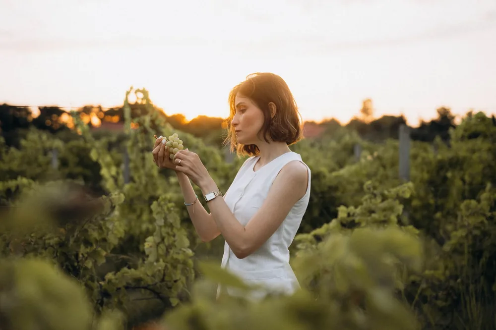 A woman enjoying the sunset while inspecting grapes in a lush vineyard
