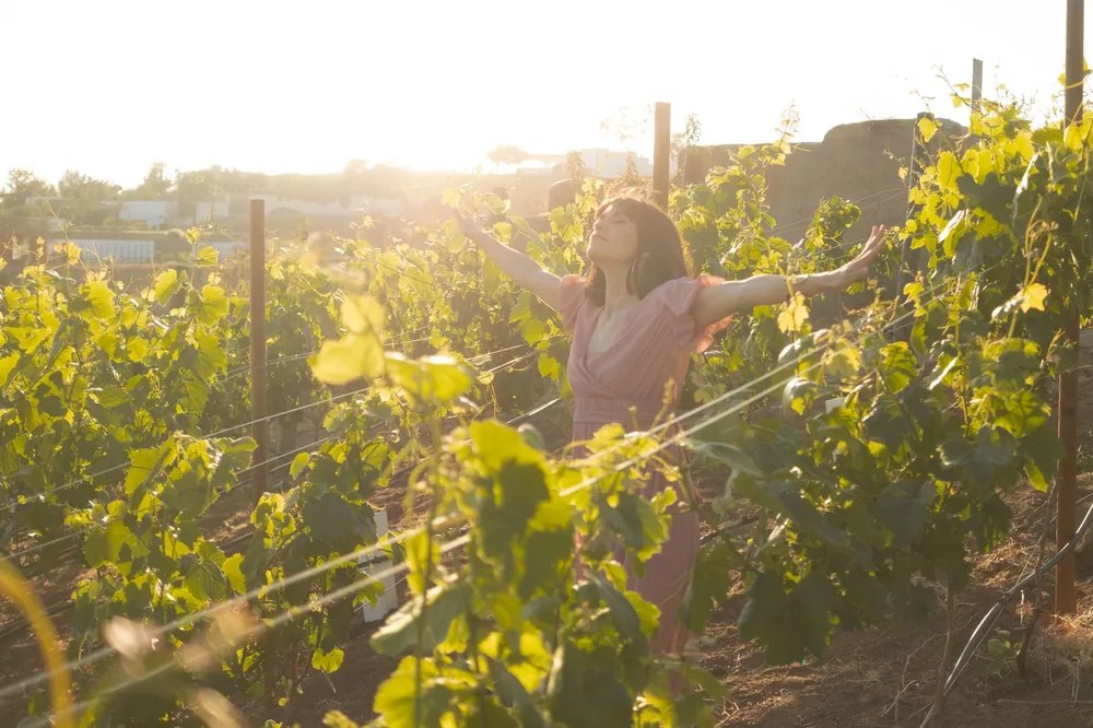 A woman in a flowing dress stretches her arms amidst grapevines at sunset