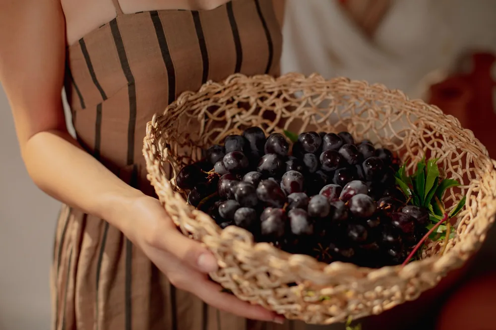 A woman in a striped dress holds a basket filled with fresh purple grapes in warm lighting