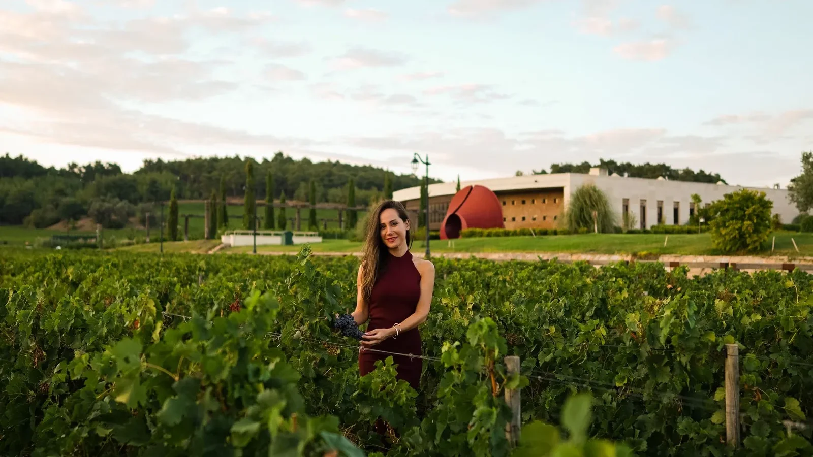 A woman standing amidst grapevines in a vineyard at sunrise in Çanakkale, Türkiye