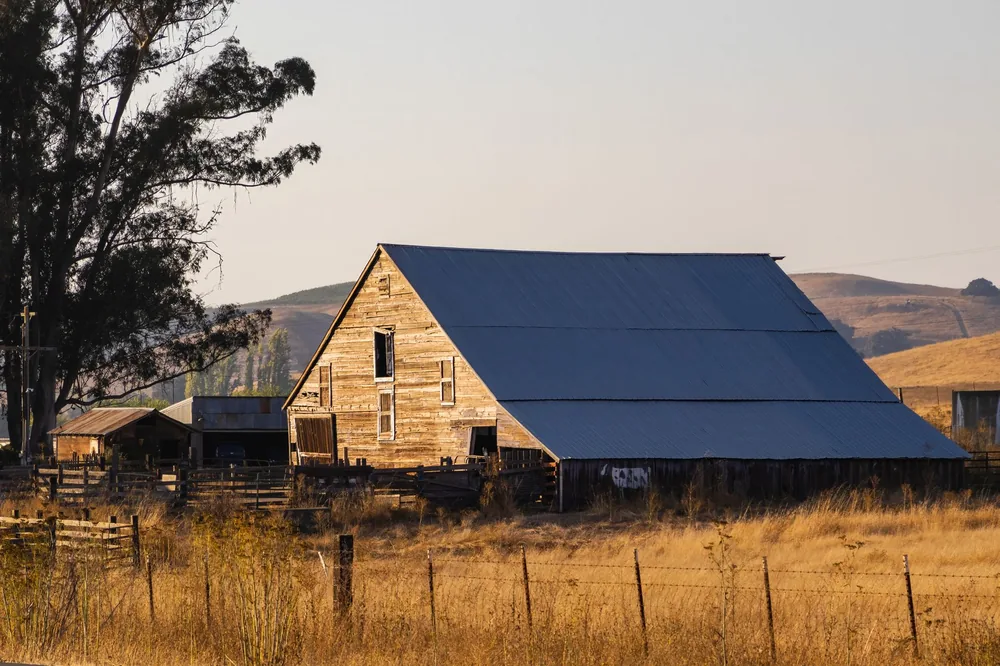 A wooden barn stands amidst a serene rural landscape, surrounded by fields and trees at dusk