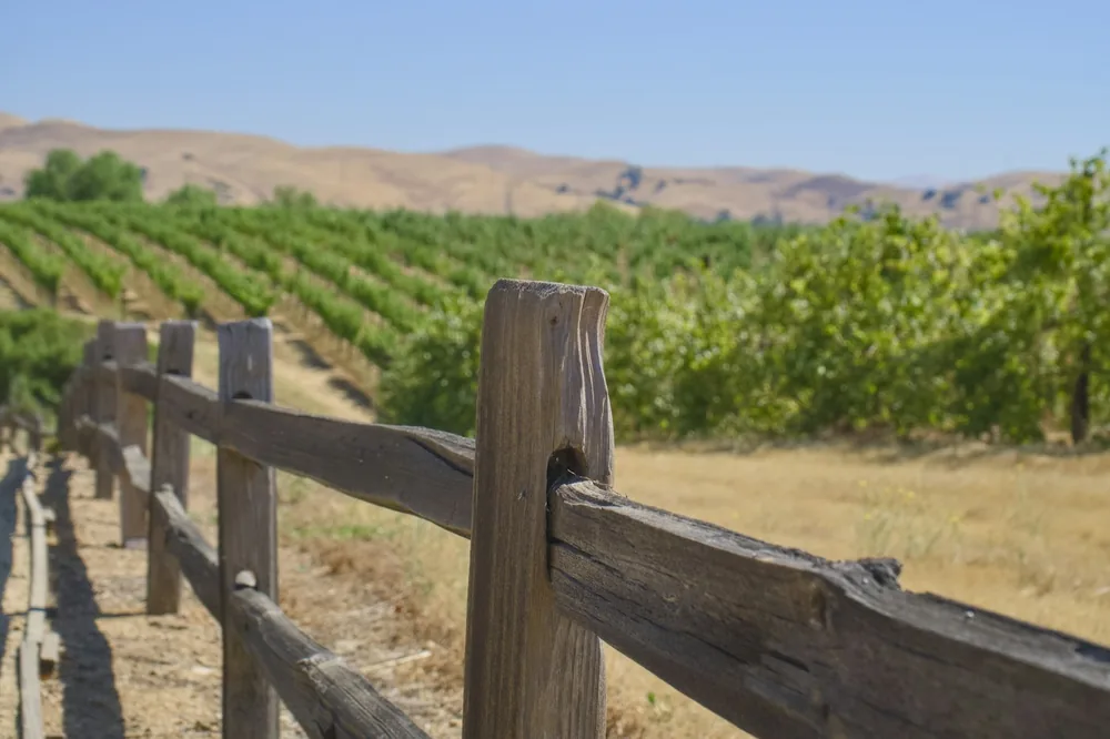A wooden fence in front of a vineyard