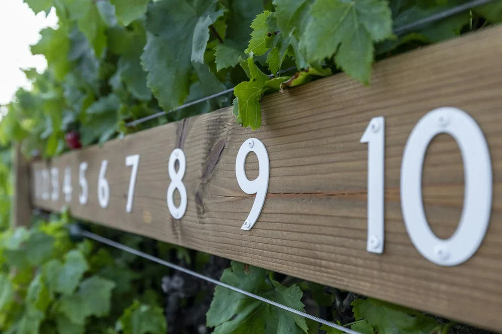 A wooden sign with numbers 1-10 in a vineyard