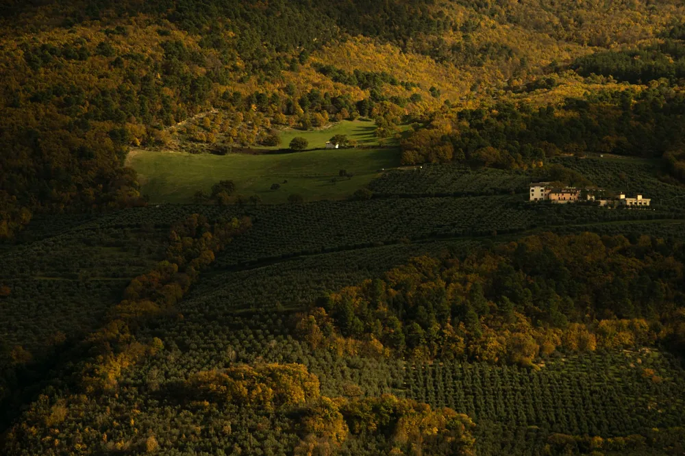 Aerial image of lush vineyards, farmhouses, and rolling hills in autumn