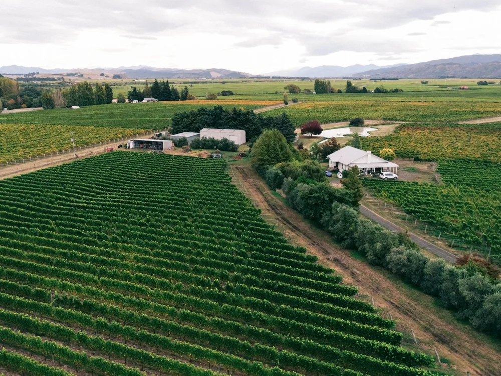 Aerial photograph showcasing expansive autumn vineyards and farmland under a cloudy sky