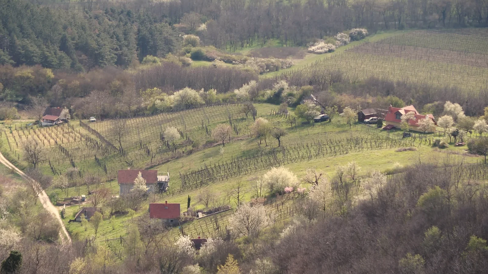 Aerial shot of a rural landscape during spring bloom