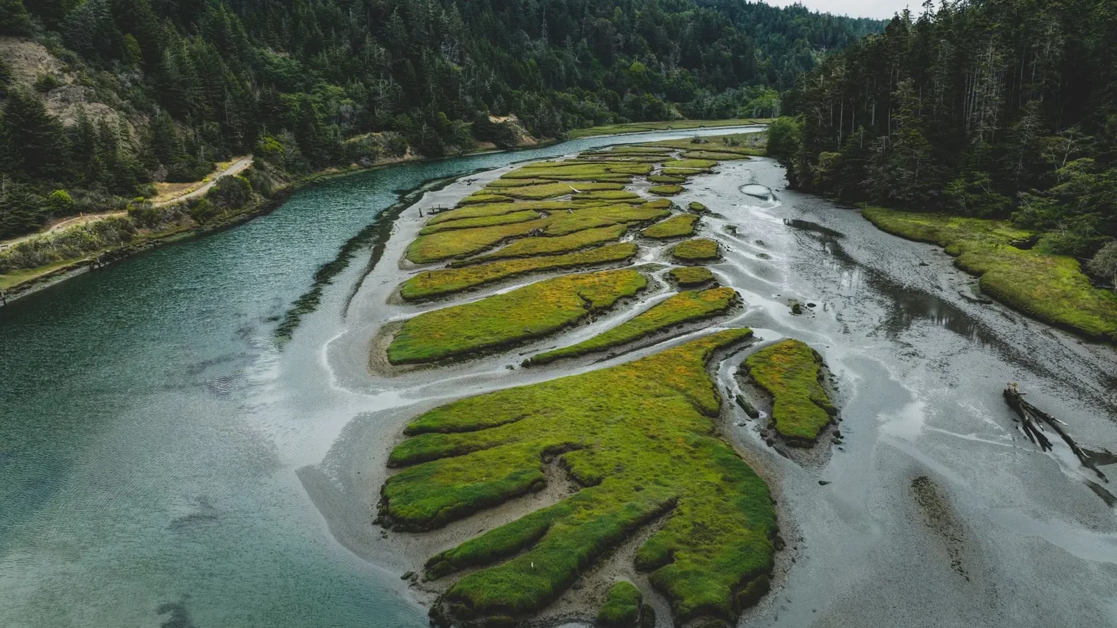 Aerial shot of a serpentine river flowing through a lush, green landscape surrounded by dense forest