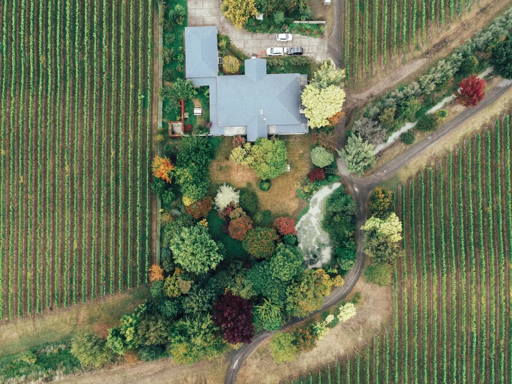 Aerial shot of a vineyard and house in autumn, showcasing colorful foliage and rows of vines