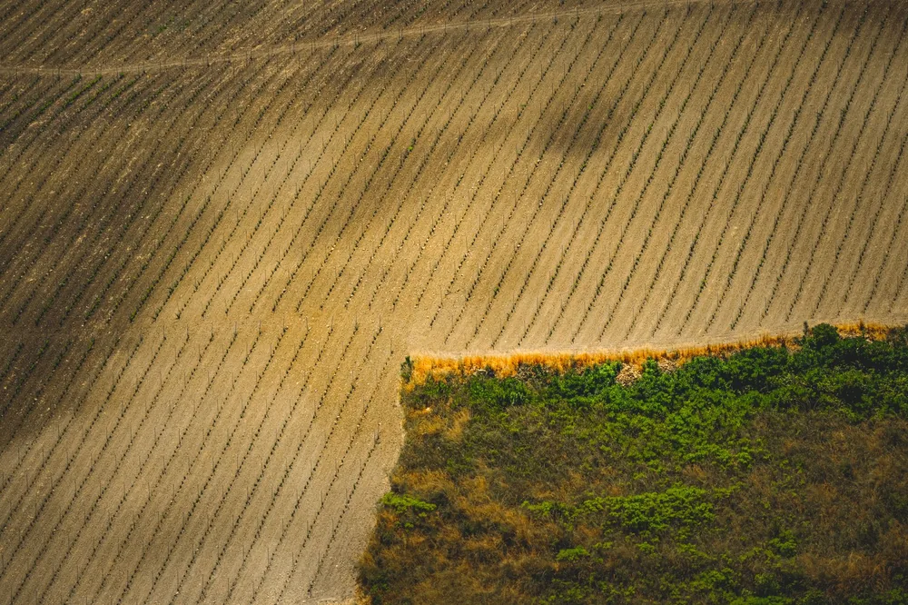 Aerial shot of expansive agricultural fields with distinct patterns and textures in rural landscape