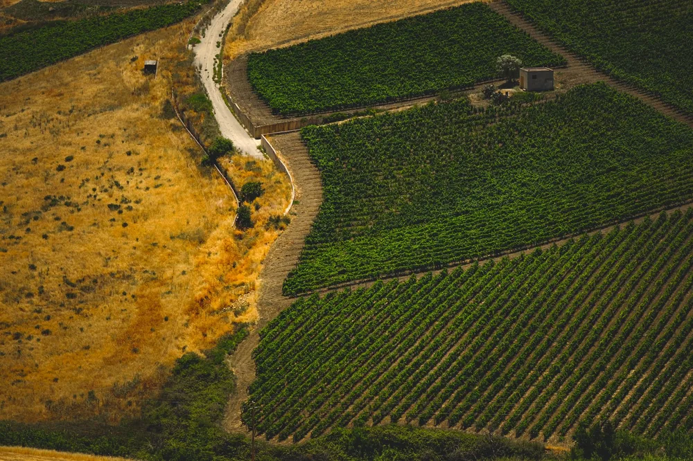 Aerial shot of fertile farmland showcasing green crops and golden fields