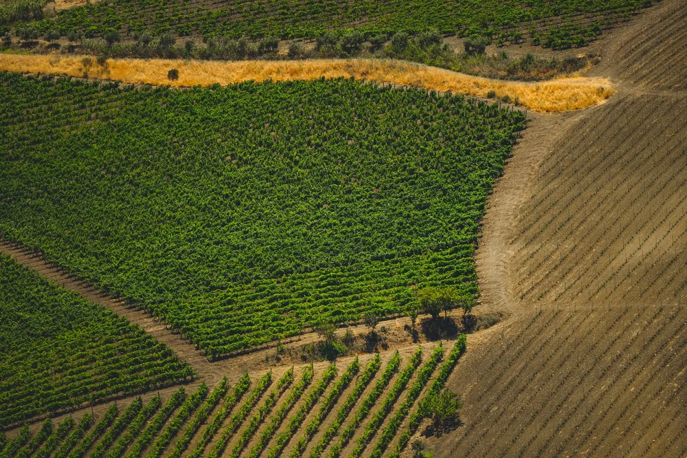 Aerial shot of vast farmland with lush green fields and dry patches