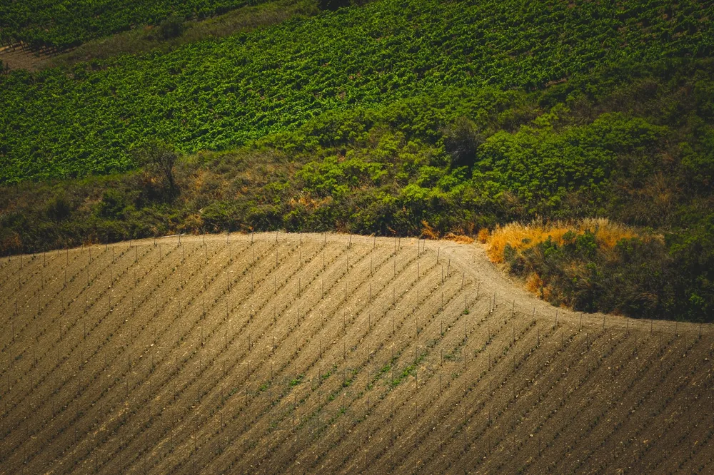 Aerial view showcasing verdant and dry farmland, highlighting agricultural patterns