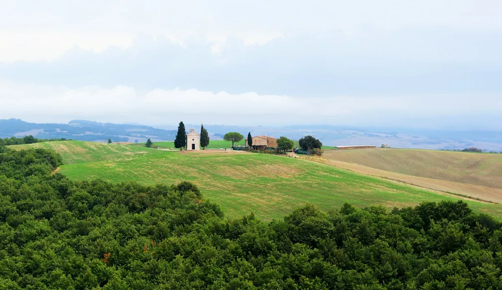 An aerial view of a green field with trees