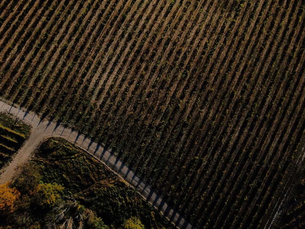 An aerial view of a road in a field