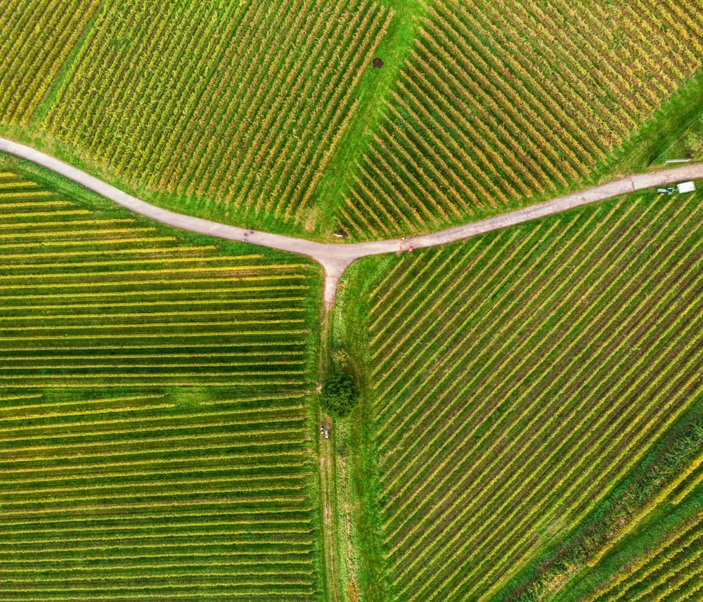 An aerial view of a road running through a field