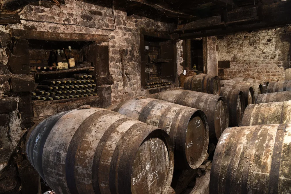 An atmospheric wine cellar featuring wooden barrels and dusty bottles stacked against stone walls