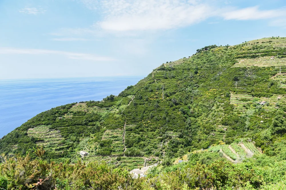 An expansive view of terraced green hills meeting the tranquil blue sea under a bright sky
