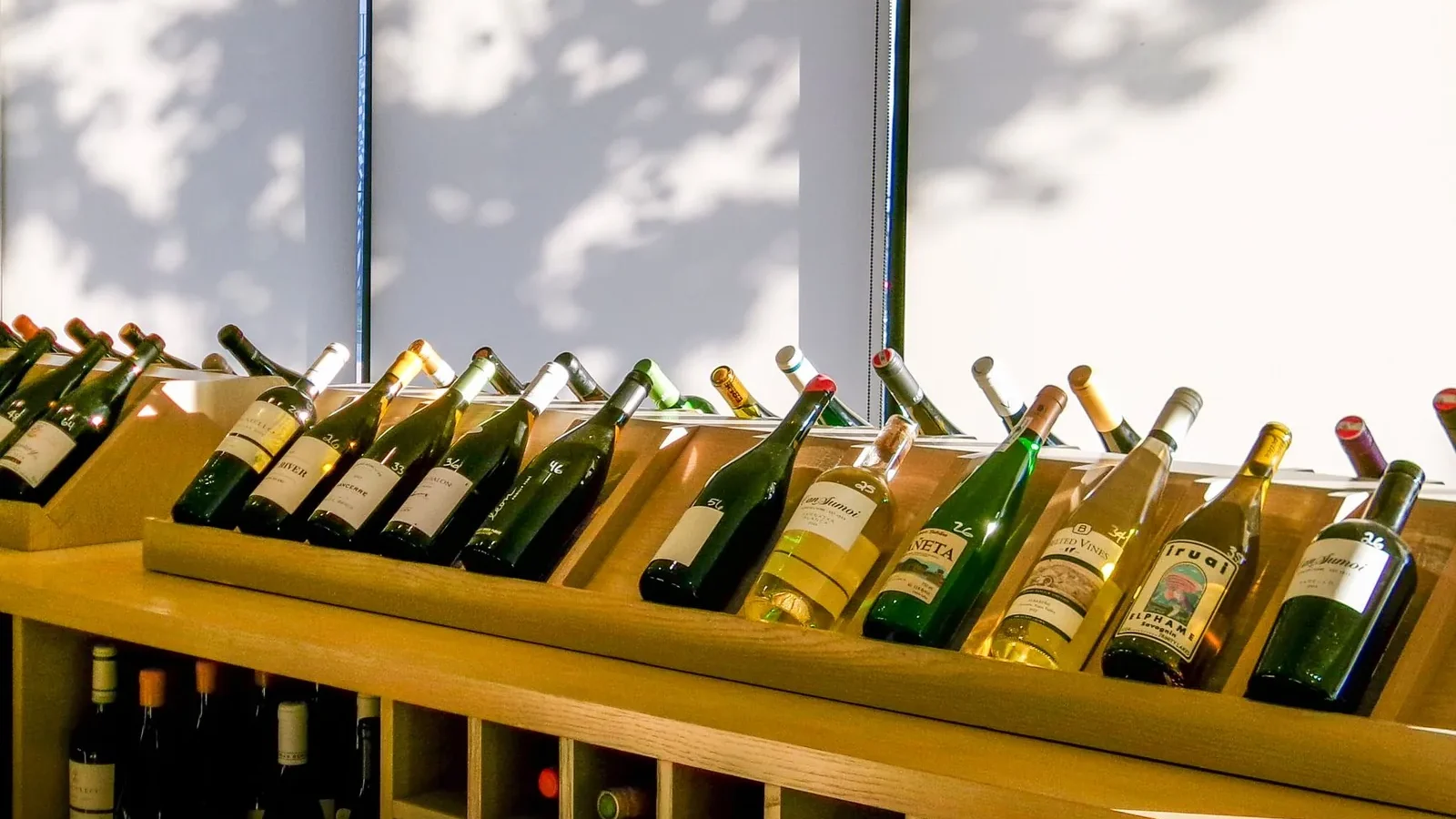 An inviting display of various wine bottles in a modern shop setting, illuminated by natural light