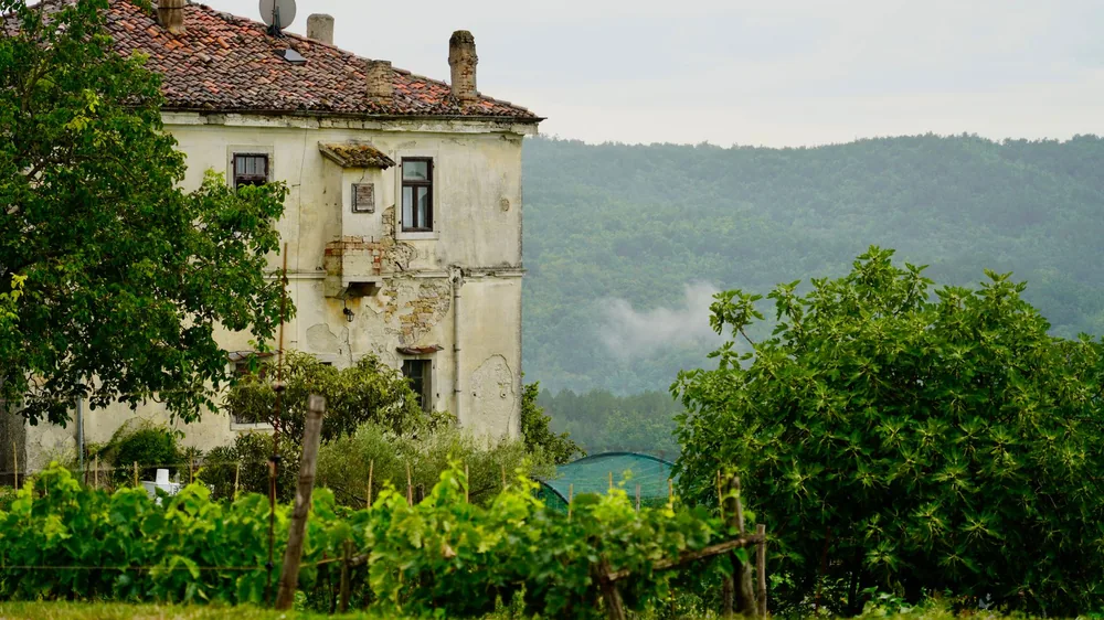 An old abandoned house surrounded by lush vegetation and hills