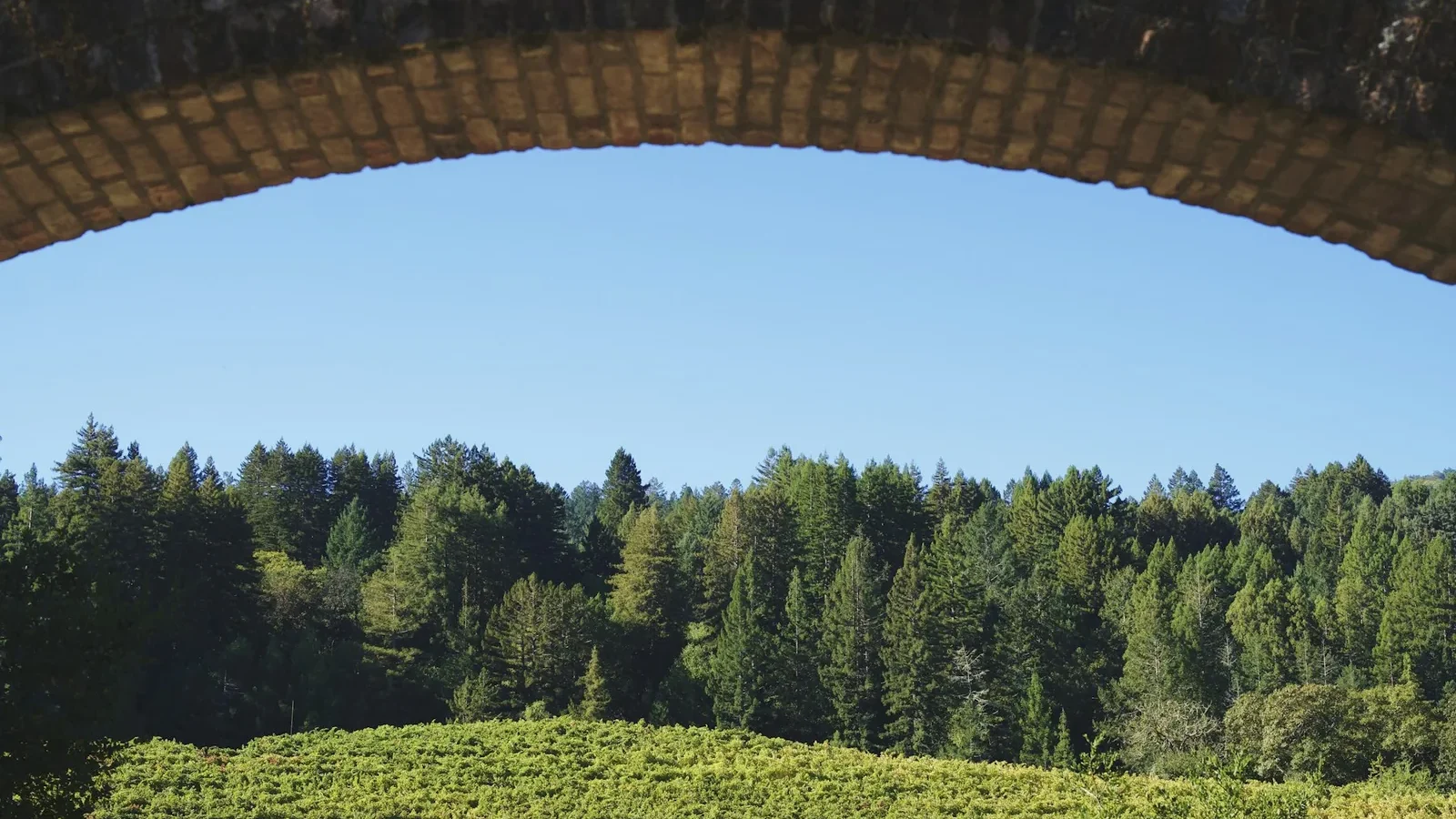 Archway over vineyard and forest under blue sky