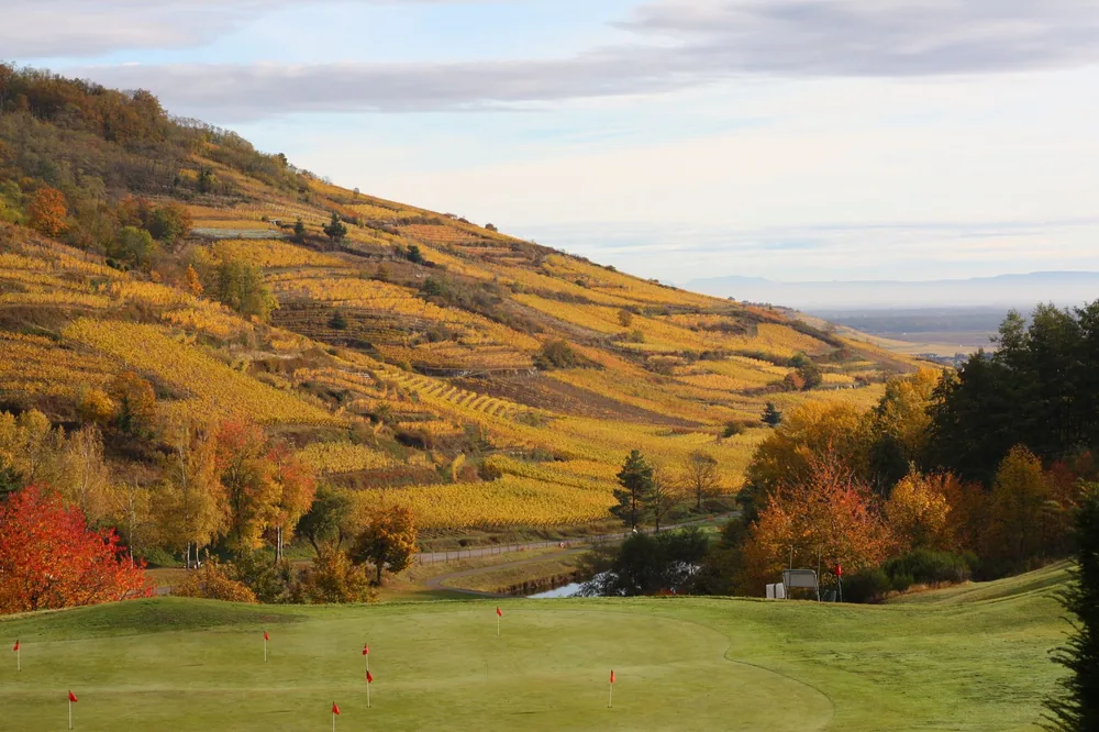 Autumn vineyard hills and a golf course under a bright sky