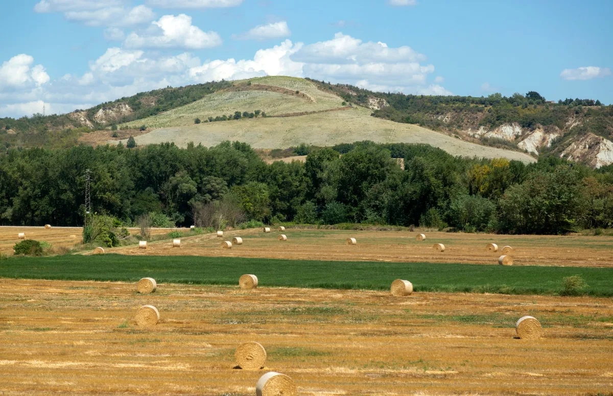Rural landscape featuring hay bales and rolling hills under a bright blue sky