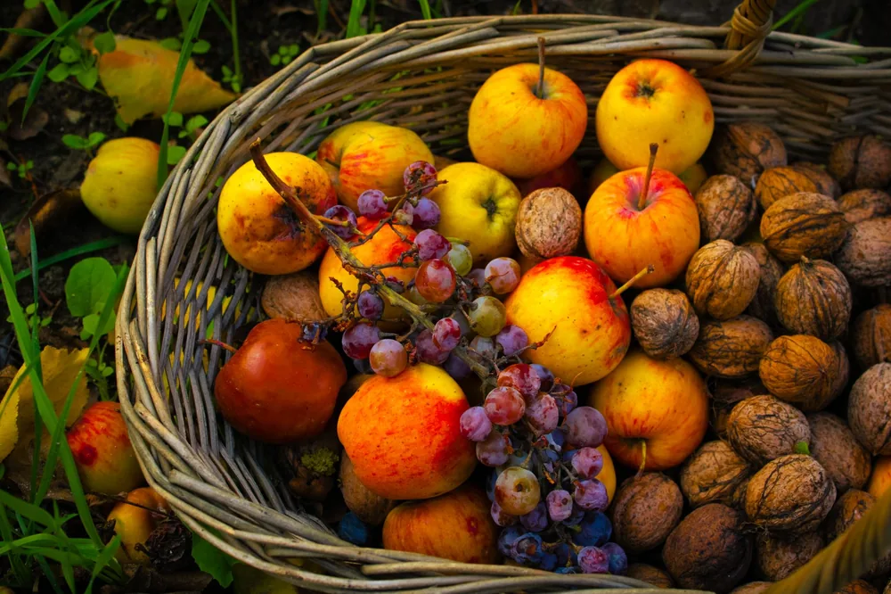 Basket filled with apples, walnuts, and grapes, symbolizing a bountiful autumn harvest