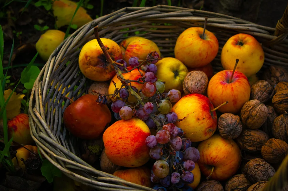 Basket of apples, grapes, and walnuts, symbolizing a rich autumn harvest