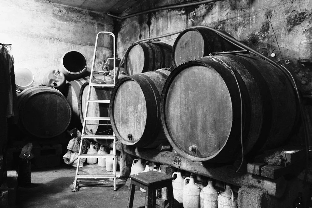 Black and white photo of a rustic cellar with wooden wine barrels and ladder