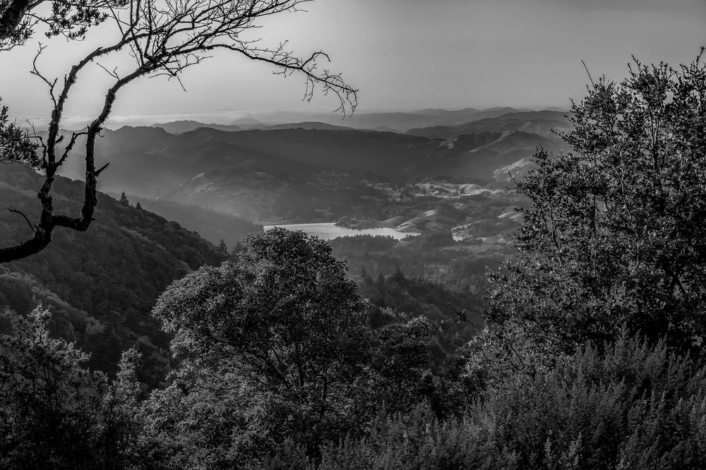 Black and white view of lush tree-covered mountains and valleys with a distant lake
